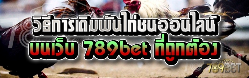 วิธีการเดิมพันไก่ชนออนไลน์ บนเว็บ 789bet ที่ถูกต้อง