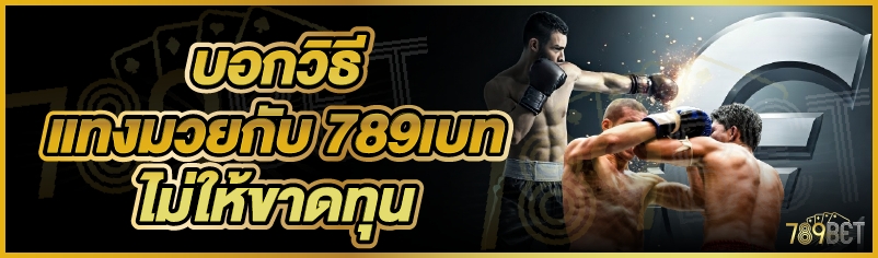 บอกวิธีแทงมวยกับ 789เบท ไม่ให้ขาดทุน