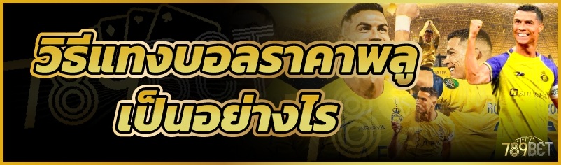 วิธีแทงบอลราคาพลู