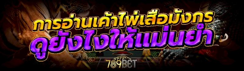 การอ่านเค้าไพ่เสือมังกร